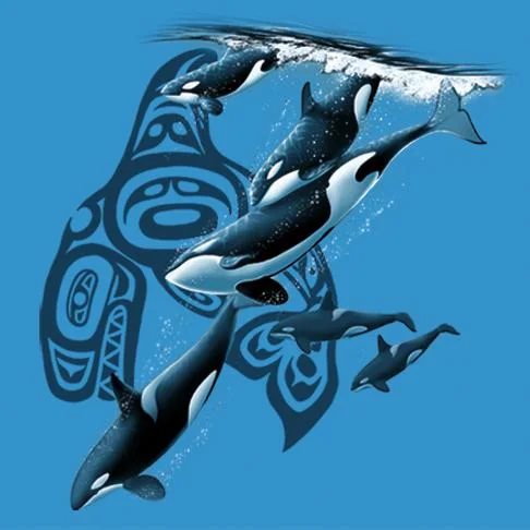 Youth Native Orca's Diving T-Shirt