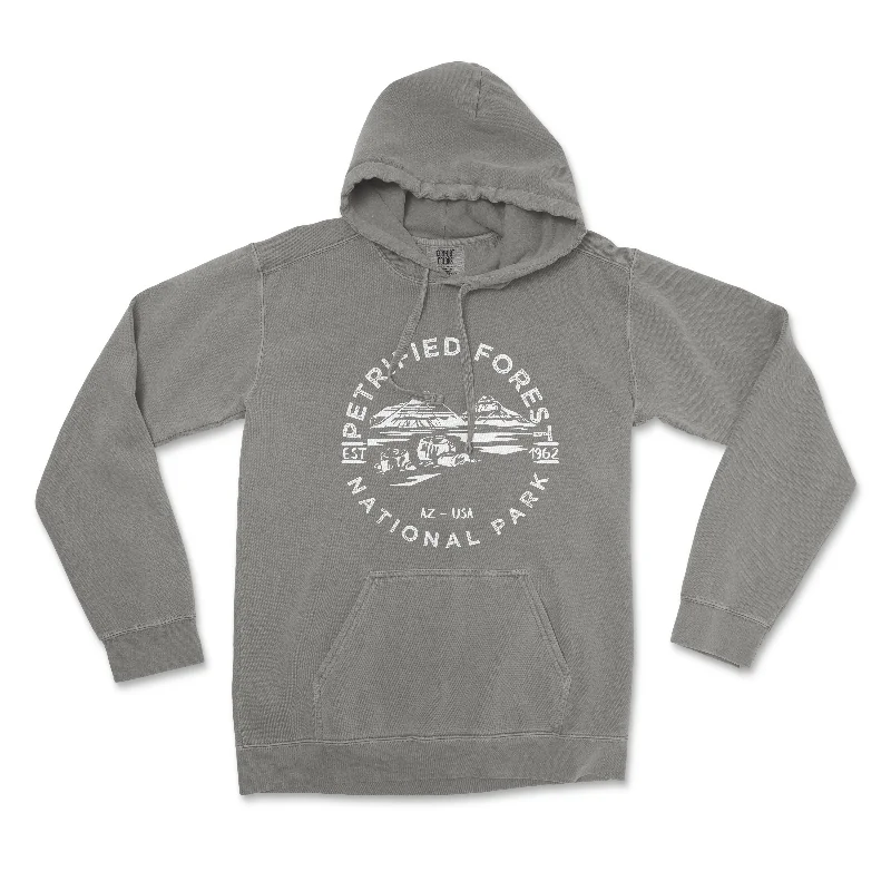 Petrified Forest National Park Comfort Colors Hoodie