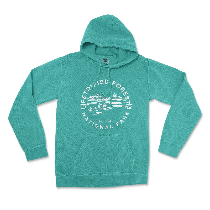 Petrified Forest National Park Comfort Colors Hoodie